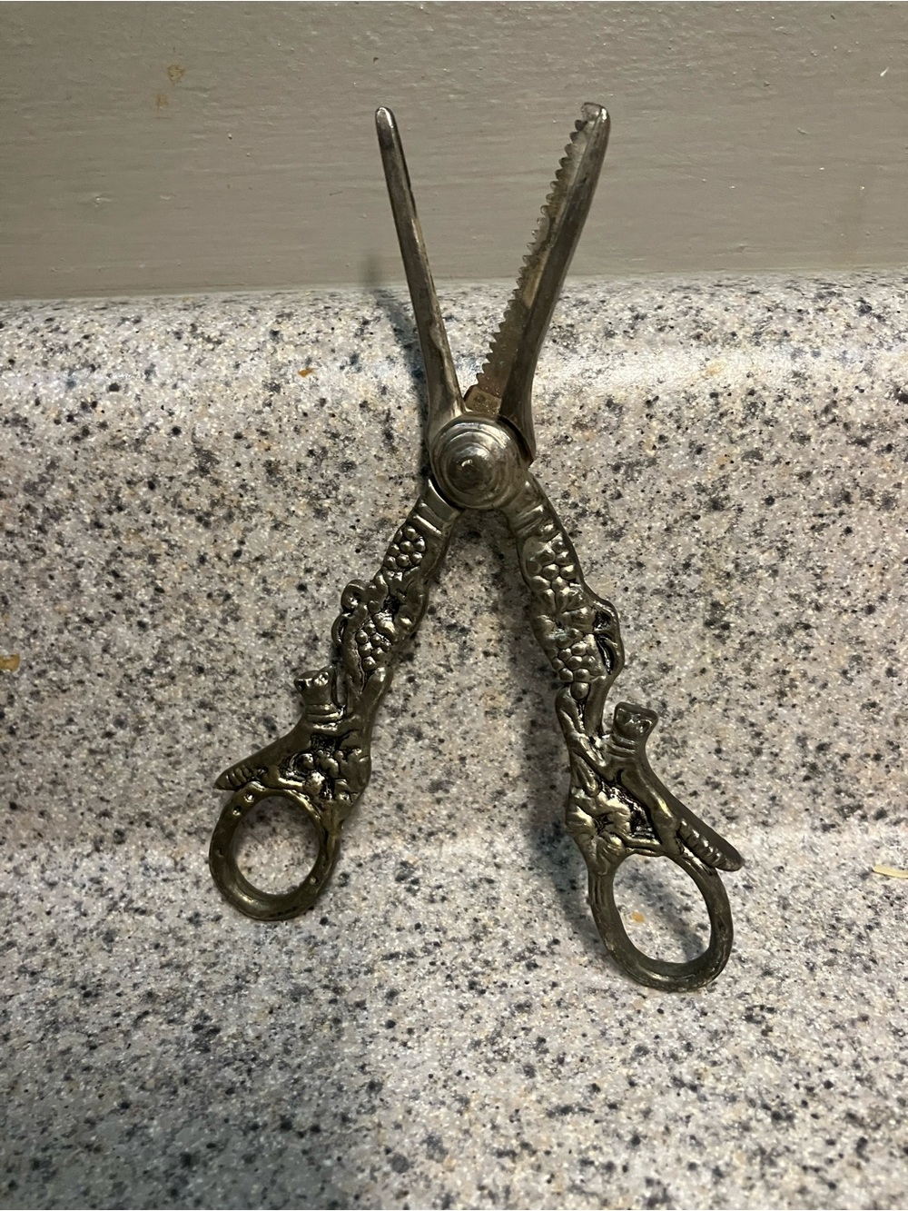 Vintage grape/fruit scissors